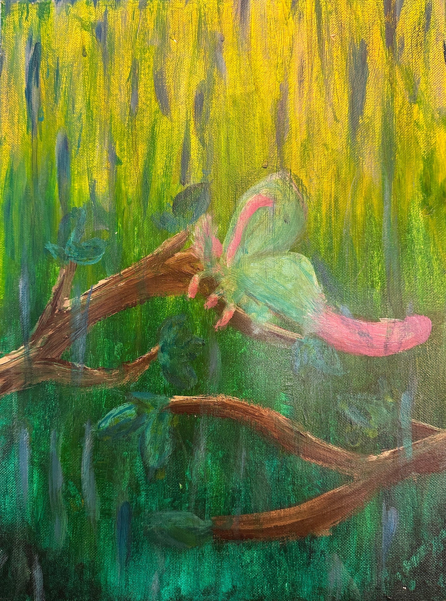 Raining Moth
