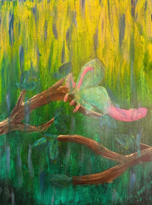 Raining Moth