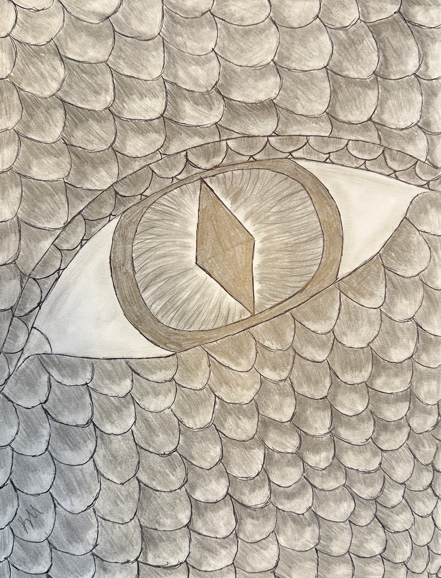 Dragon's Gaze